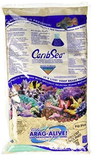 Caribsea live fiji pink coral - caribsea,