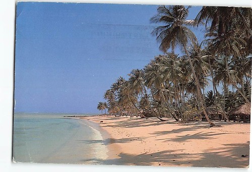 Postcard the sweep white - postcard,