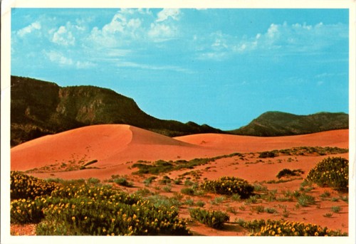 Kanab postcard coral - postcard, pink