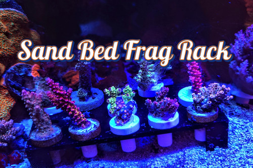 Coral frag rack - frag, sand