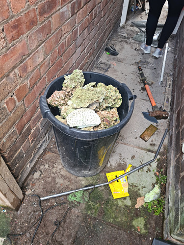 Coral and sand - coral, bin