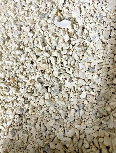 Aquarium aragonite coral - aquarium,