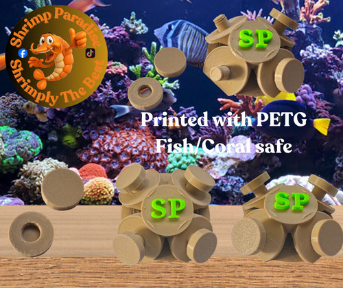 Coral frag bottom base - coral, 4