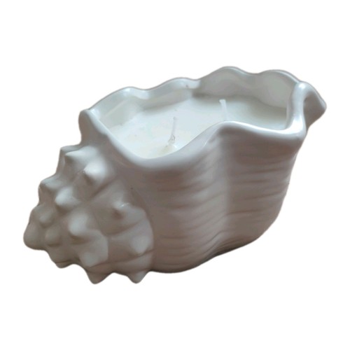 Coral sand seashell - sand, candle/