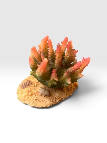 Mini aquarium ornament - mini,