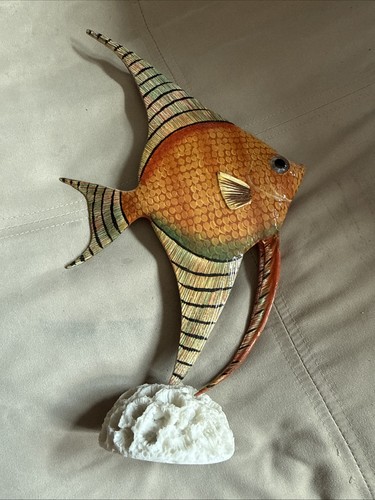 Beach beachy angelfish - beachy, coral